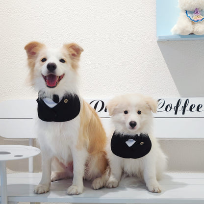 Oxford – Bowtie Suit for Dogs  | Elegant Formal Pet Outfit