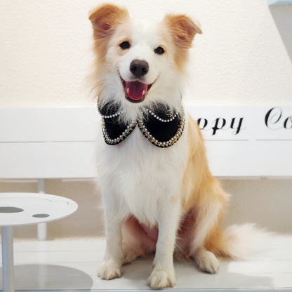 Jacqueline – Black & White Pearl Dog Jacket | Chic Formal Look