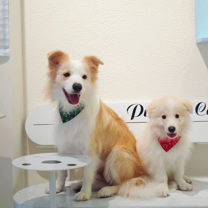 Avery – Christmas Bandana for Dogs | Holiday Style