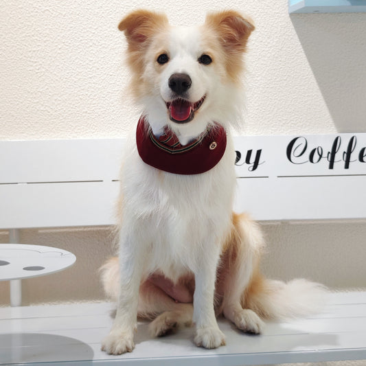 Ivy – Red & Green Preppy Dog Bandana | Stylish Occasion Wear