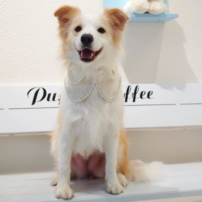 Jacqueline – Black & White Pearl Dog Jacket | Chic Formal Look