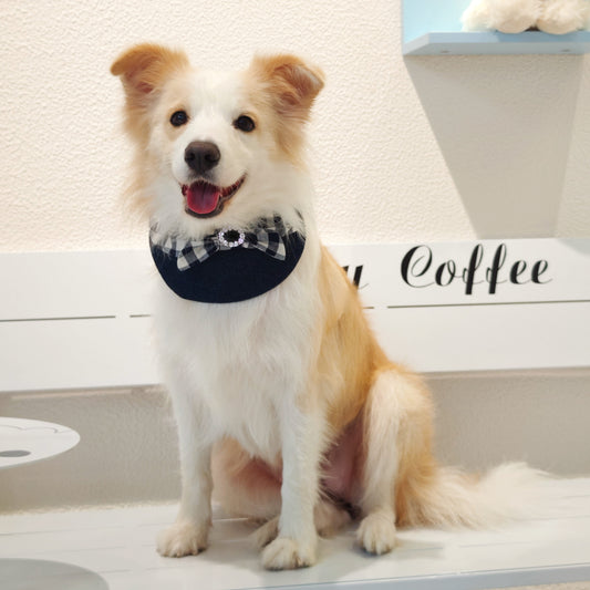 Jessie - Denim Bow Dog Cape | Western Charm & Stylish Design