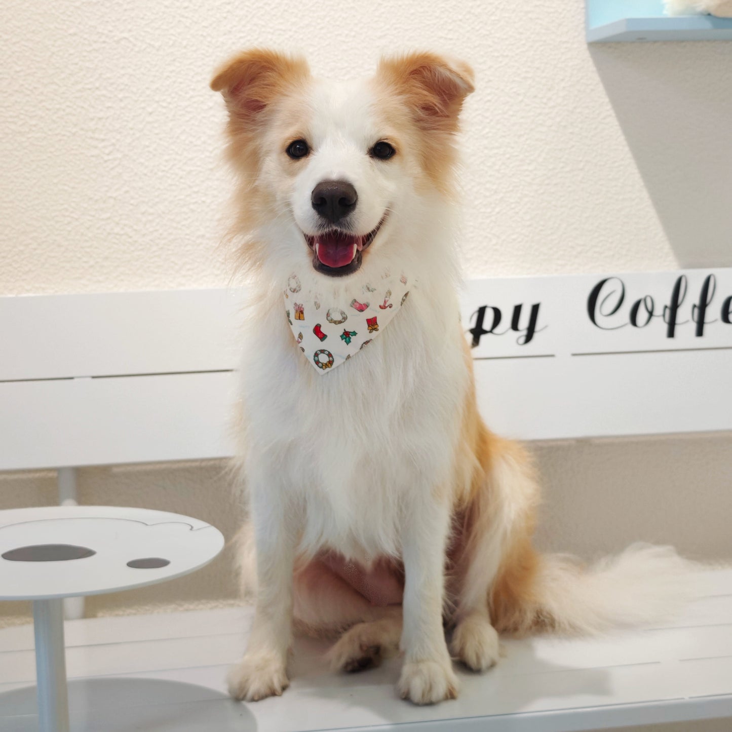 Avery – Christmas Bandana for Dogs | Holiday Style