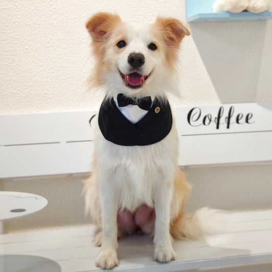Oxford – Bowtie Suit for Dogs  | Elegant Formal Pet Outfit