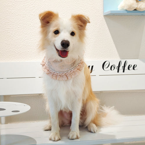 Ella –  Pink Lace Dress for Pets | Soft, Elegant, Comfortable