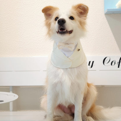 Oxford – Bowtie Suit for Dogs  | Elegant Formal Pet Outfit