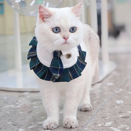 Emma – Schoolgirl Dog Outfit | Adorable Pet Uniform