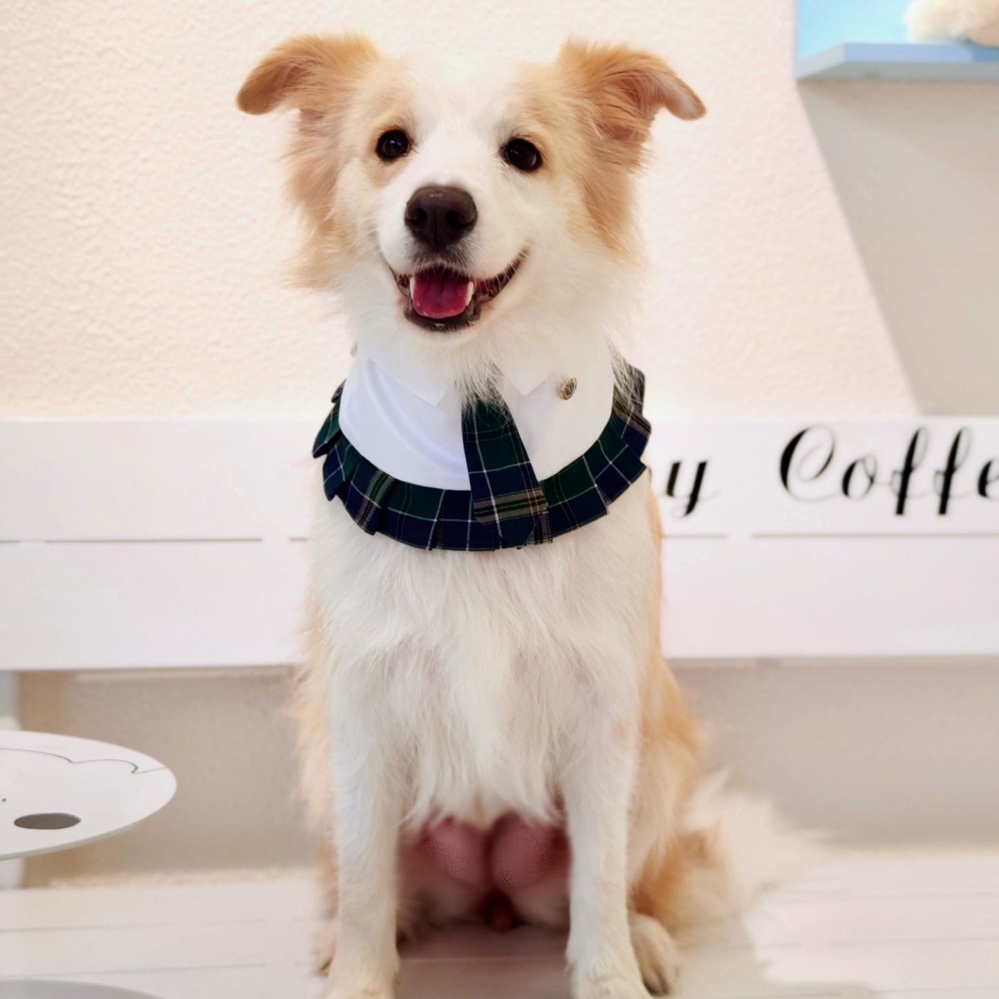 Emma – Schoolgirl Dog Outfit | Adorable Pet Uniform