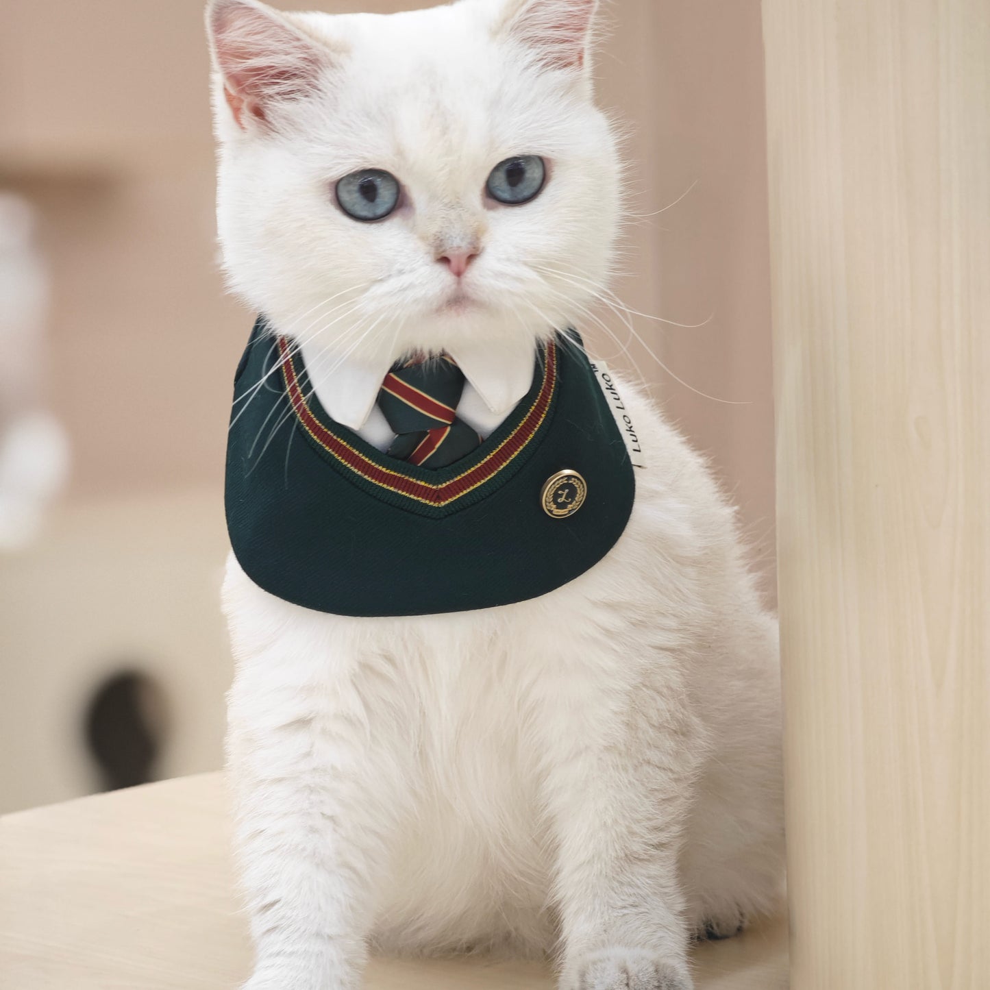 Ivy – Red & Green Preppy Dog Bandana | Stylish Occasion Wear