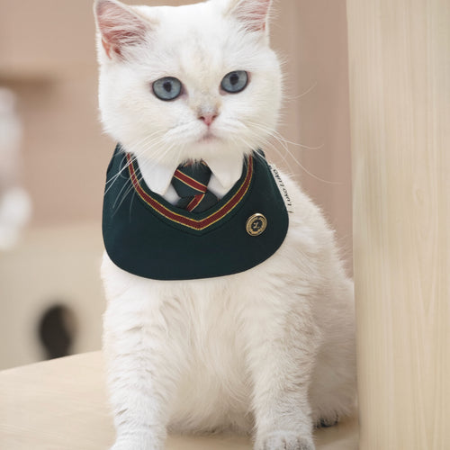 Ivy – Red & Green Preppy Dog Bandana | Stylish Occasion Wear