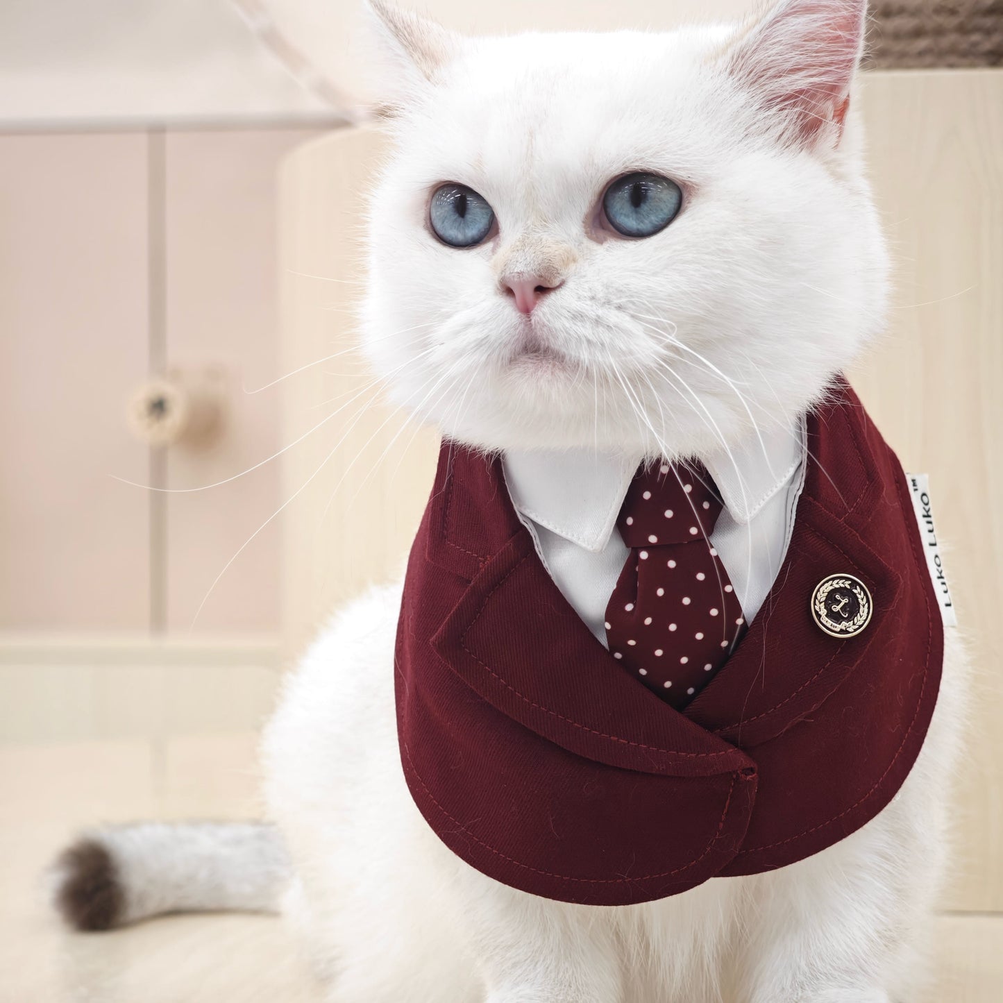 Windsor – Burgundy & Green Dog Suit | Elegant Outfit