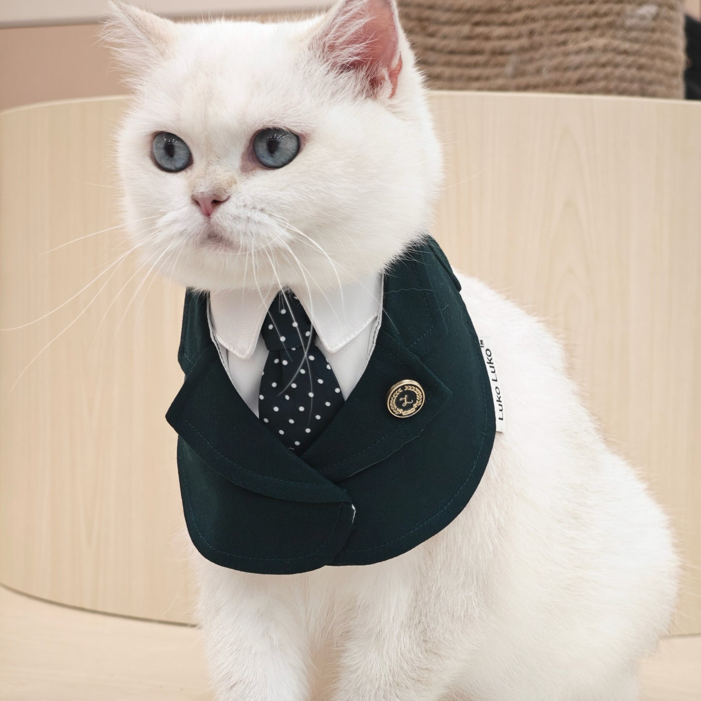 Windsor – Burgundy & Green Dog Suit | Elegant Outfit