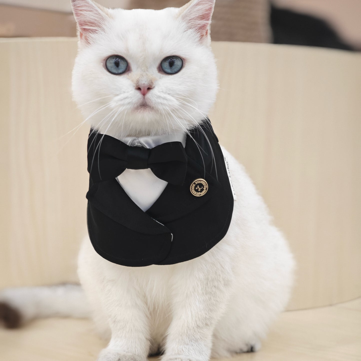 Oxford – Bowtie Suit for Dogs  | Elegant Formal Pet Outfit