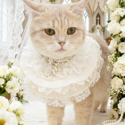 Juliette Lace Dog Dress | Elegant Formal Style Juliette Lace Dog Dress | Elegant Formal Style