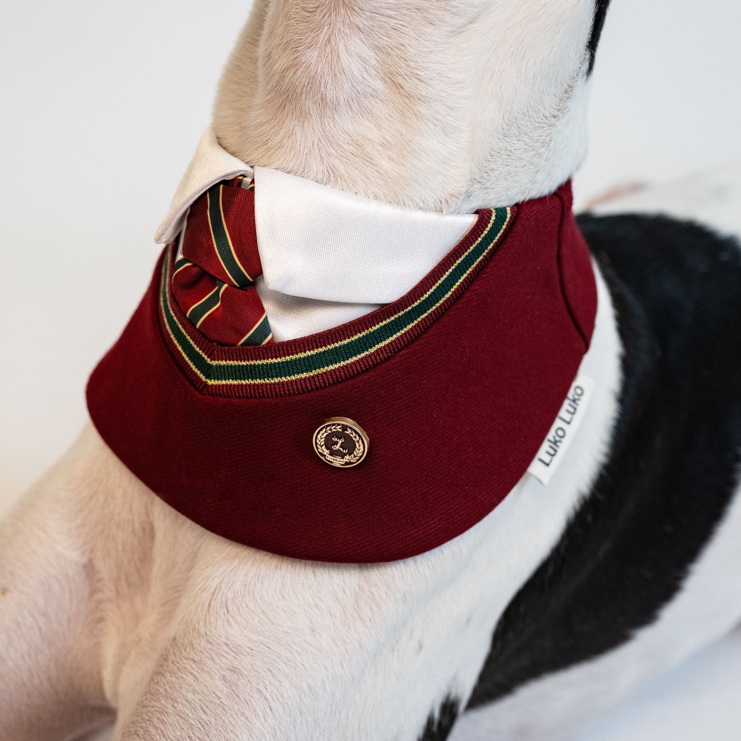 Ivy – Red & Green Preppy Dog Bandana | Stylish Occasion Wear