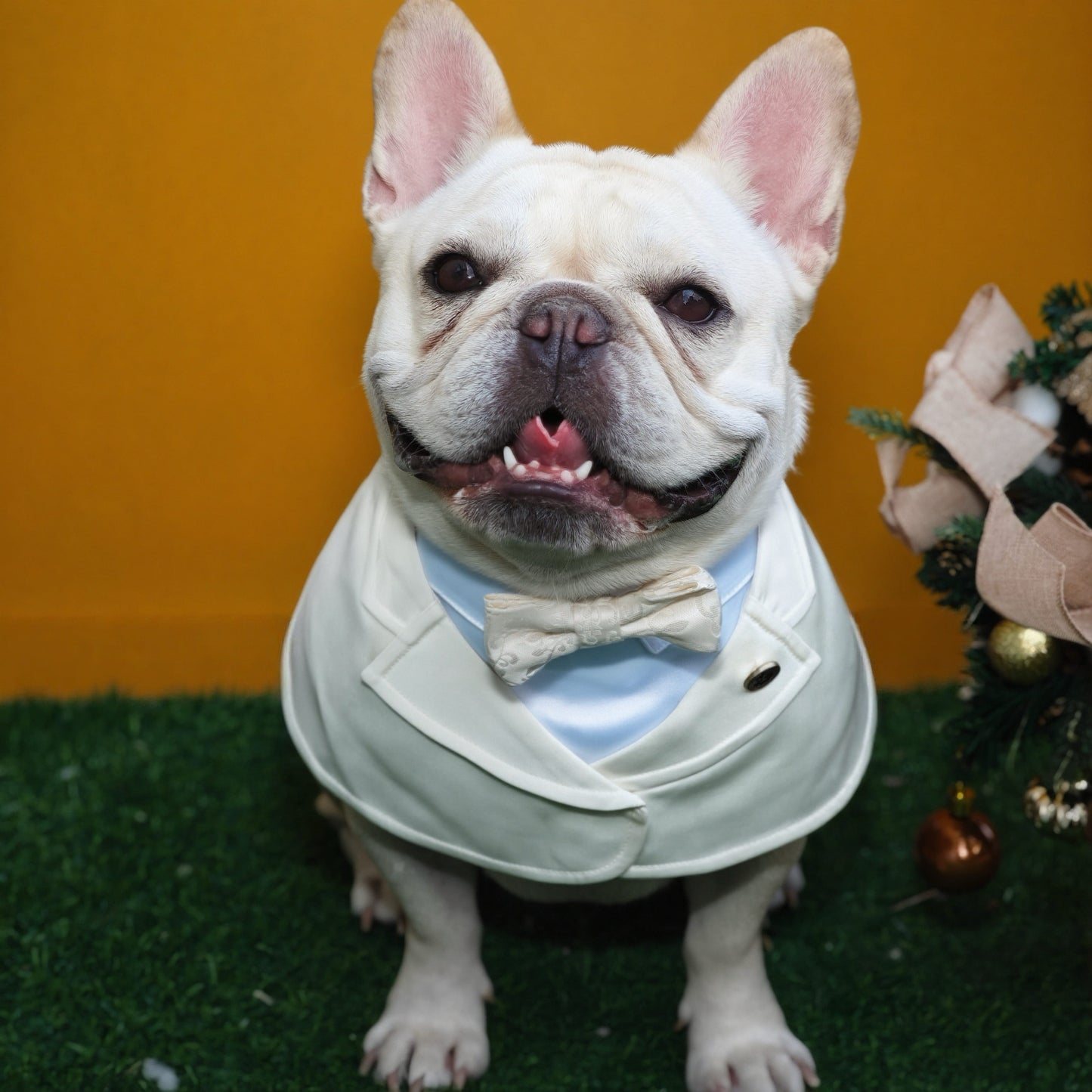 Oxford – Bowtie Suit for Dogs  | Elegant Formal Pet Outfit