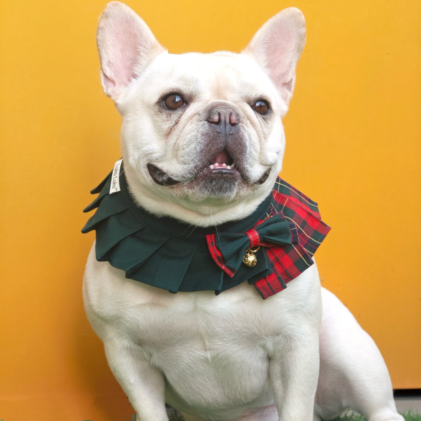 Noelle – Red & Green Plaid Dog Dress | Christmas Holiday Style