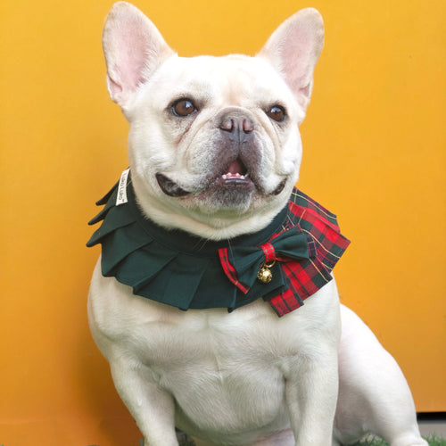 Noelle – Red & Green Plaid Dog Dress | Christmas Holiday Style