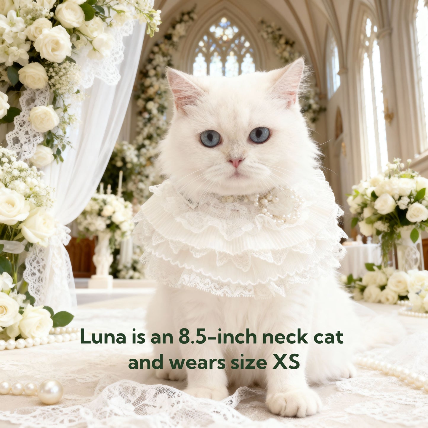 Juliette – Lace Dog Dress | Elegant Formal Style