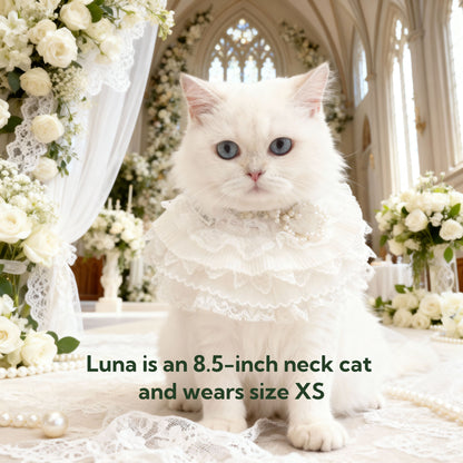 Juliette – Lace Dog Dress | Elegant Formal Style