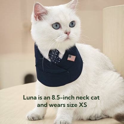 President – Red & Blue Tie Dog Suit | Formal Style