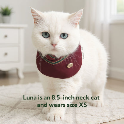 Ivy – Red & Green Preppy Dog Bandana | Stylish Occasion Wear