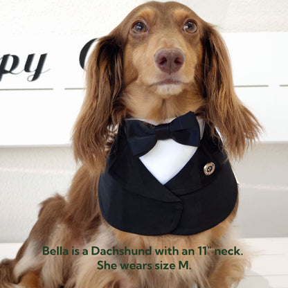 Oxford – Bowtie Suit for Dogs  | Elegant Formal Pet Outfit