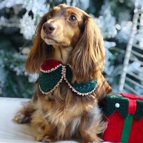 Merry -Handmade Red &Green Christmas Bandana with Interchangeable Brooch