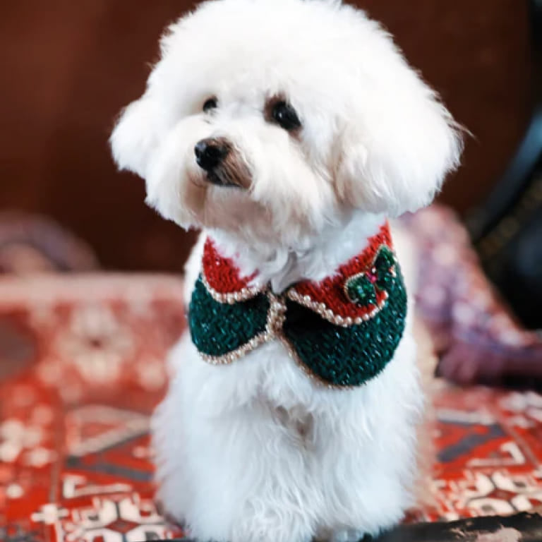 Merry -Handmade Red &Green Christmas Bandana with Interchangeable Brooch