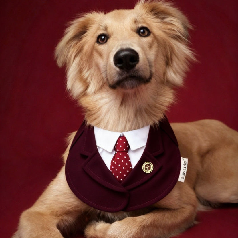 Windsor – Burgundy & Green Dog Suit | Elegant Outfit