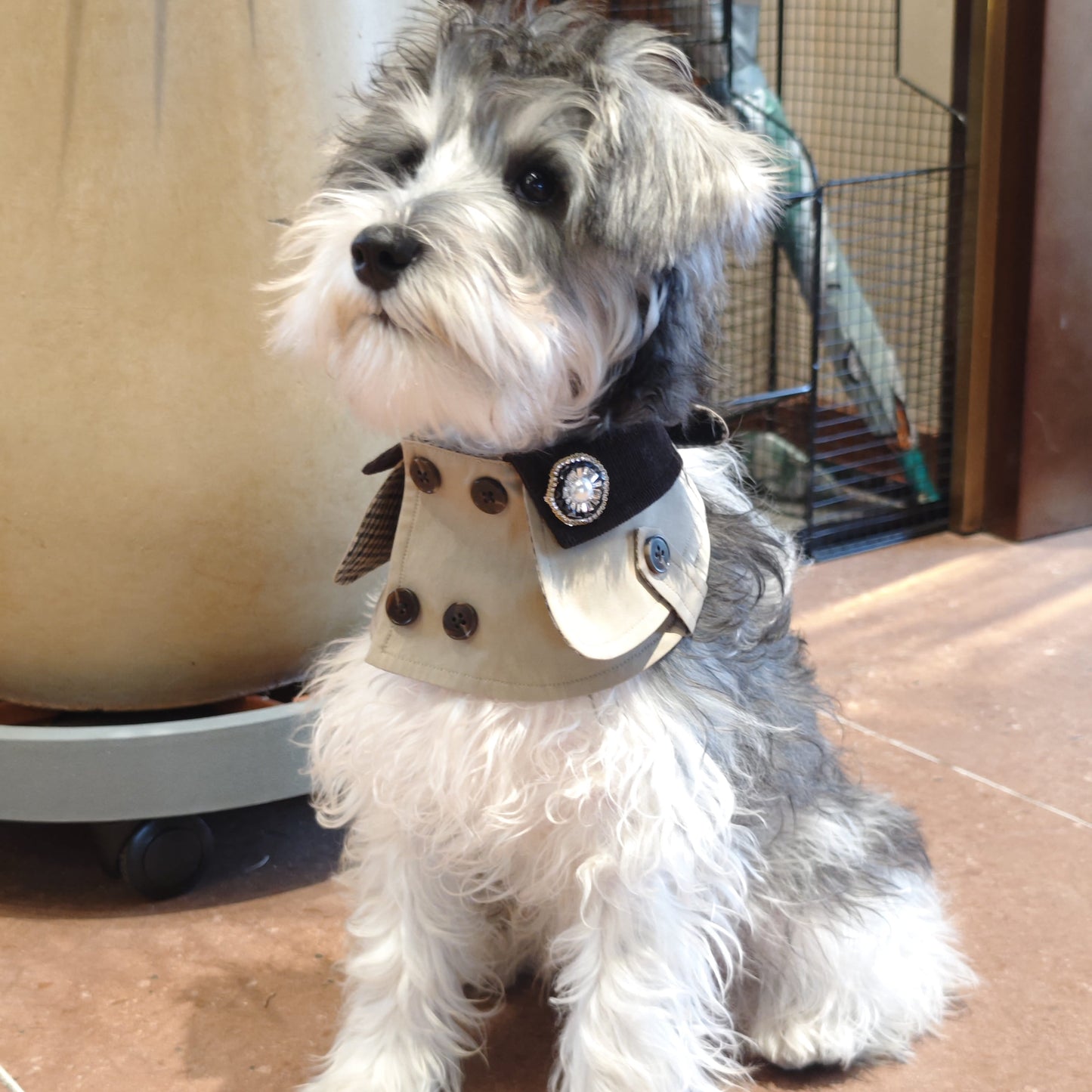 Edward – Handmade British Trench Coat One-Piece for Dogs