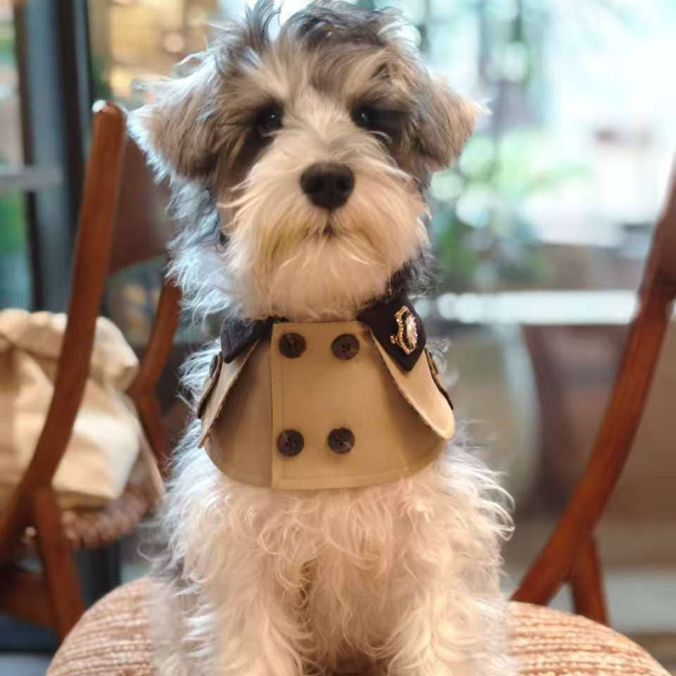 Edward – Handmade British Trench Coat One-Piece for Dogs