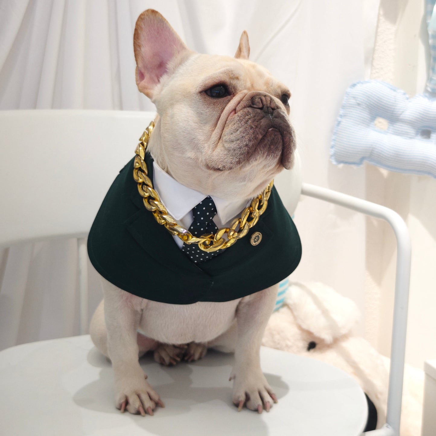Windsor – Burgundy & Green Dog Suit | Elegant Outfit