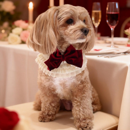 Barbara – Sweet Valentine Elegance Lace Collar with Bow Options