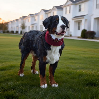 Ivy – Red & Green Preppy Dog Bandana | Stylish Occasion Wear