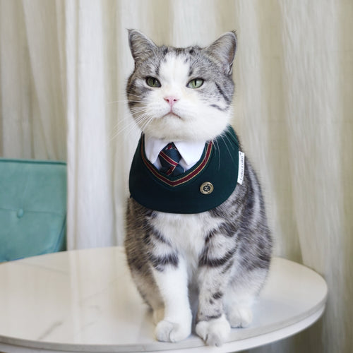 Ivy – Red & Green Preppy Dog Bandana | Stylish Occasion Wear