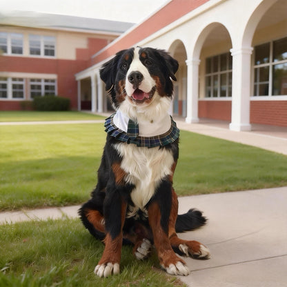 Emma – Schoolgirl Dog Outfit | Adorable Pet Uniform
