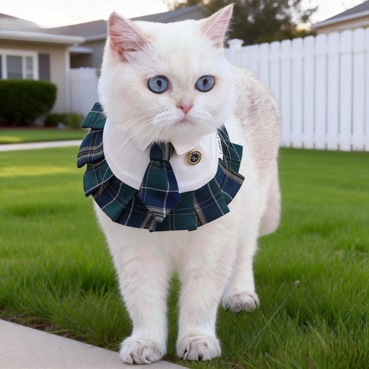 Emma – Schoolgirl Dog Outfit | Adorable Pet Uniform