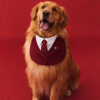 Windsor – Burgundy & Green Dog Suit | Elegant Outfit