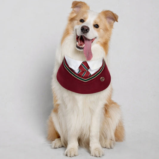 Ivy – Red & Green Preppy Dog Bandana | Stylish Occasion Wear
