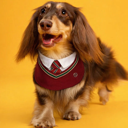 Ivy – Red & Green Preppy Dog Bandana | Stylish Occasion Wear
