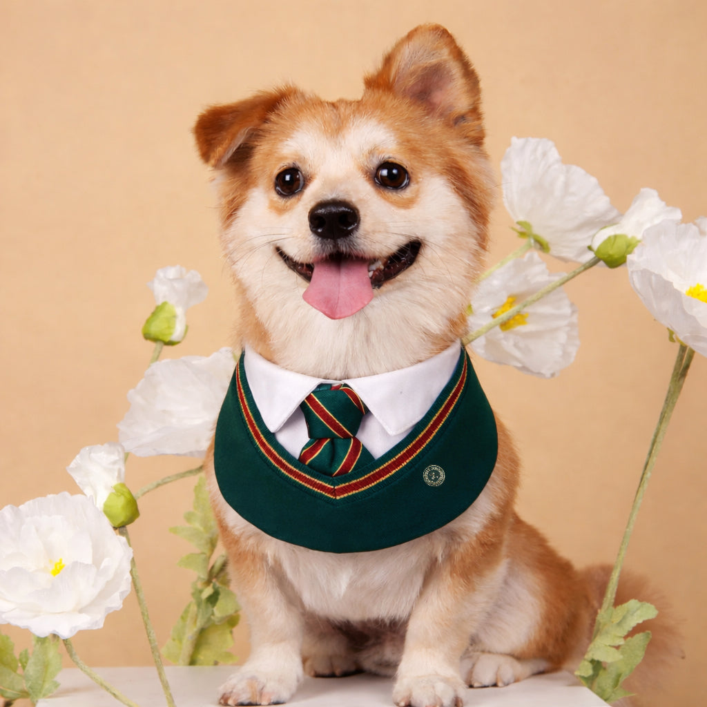 Ivy – Red & Green Preppy Dog Bandana | Stylish Occasion Wear