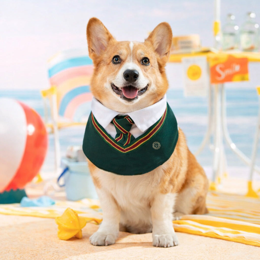 Ivy – Red & Green Preppy Dog Bandana | Stylish Occasion Wear