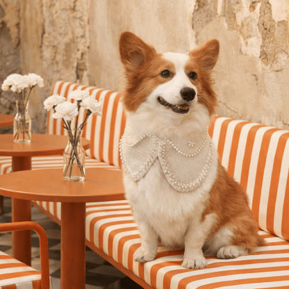 Jacqueline – Black & White Pearl Dog Jacket | Chic Formal Look