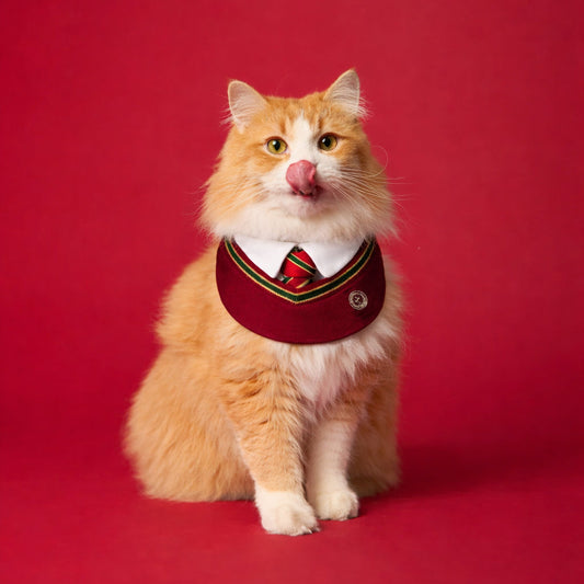 Ivy – Red & Green Preppy Dog Bandana | Stylish Occasion Wear