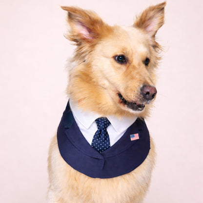 President – Red & Blue Tie Dog Suit | Formal Style
