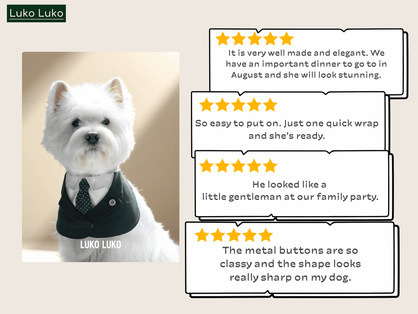 Windsor – Burgundy & Green Dog Suit | Elegant Outfit