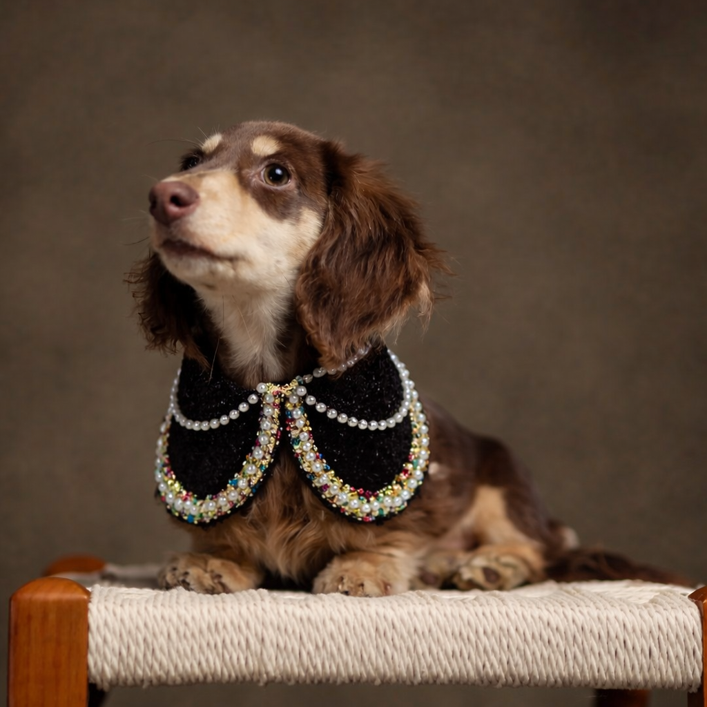 Jacqueline – Black & White Pearl Dog Jacket | Chic Formal Look