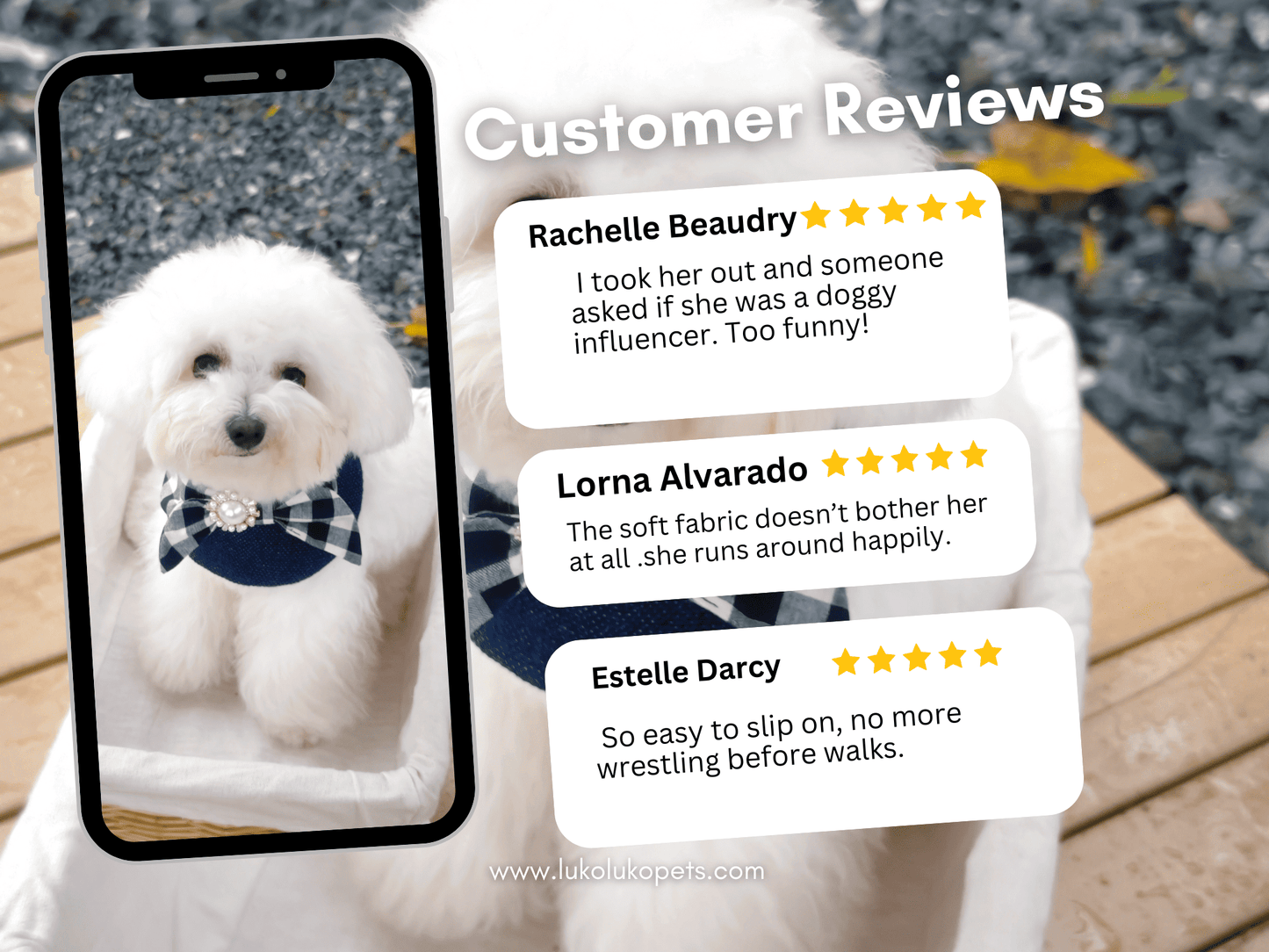 Jessie - Denim Bow Dog Cape | Western Charm & Stylish Design