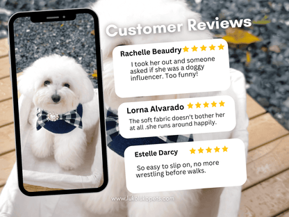 Jessie - Denim Bow Dog Cape | Western Charm & Stylish Design